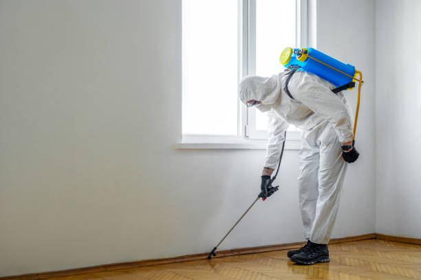 Best Residential Pest Control  in New Haven, MO